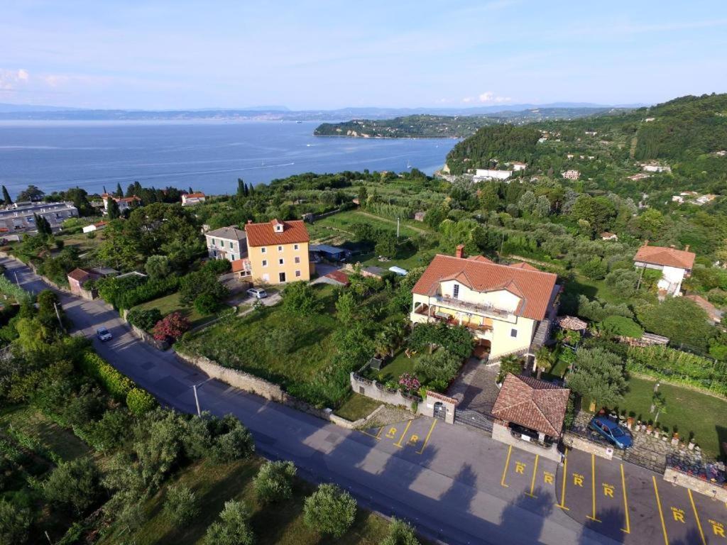 Apartmaji Jelena بيران المظهر الخارجي الصورة