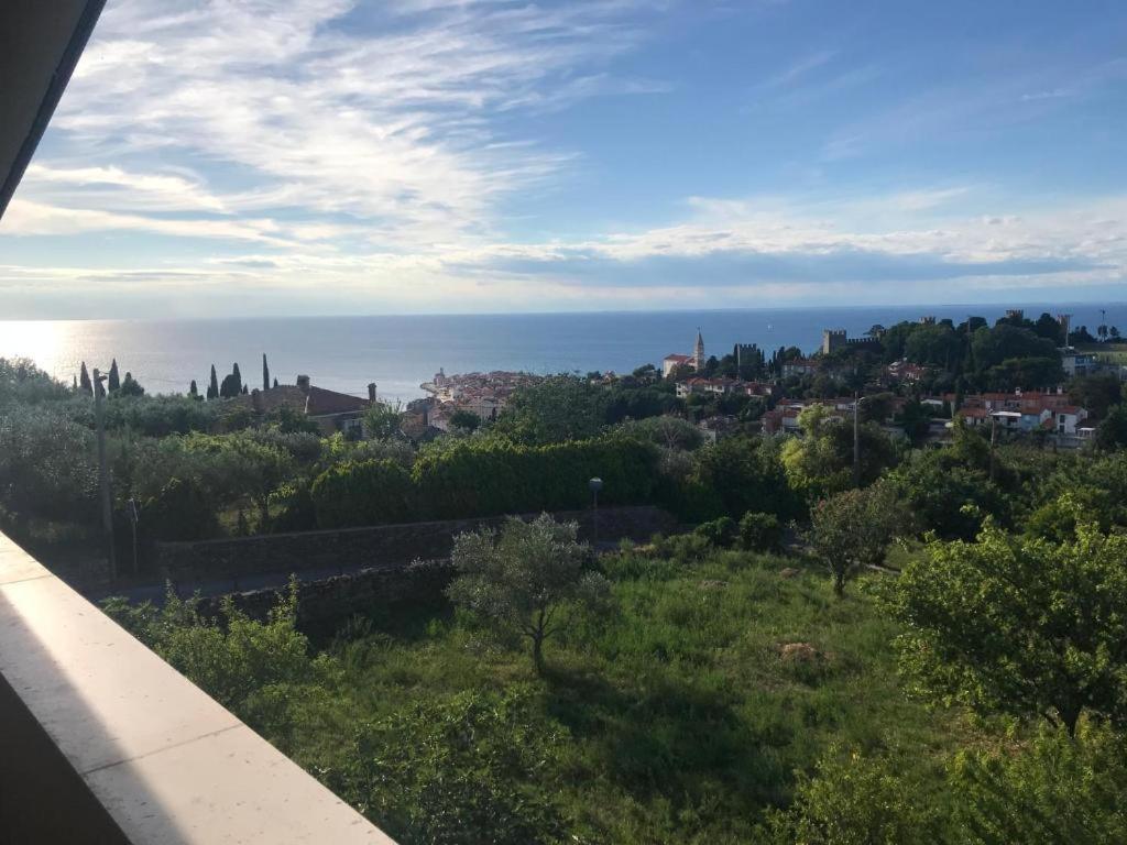 Apartmaji Jelena بيران المظهر الخارجي الصورة