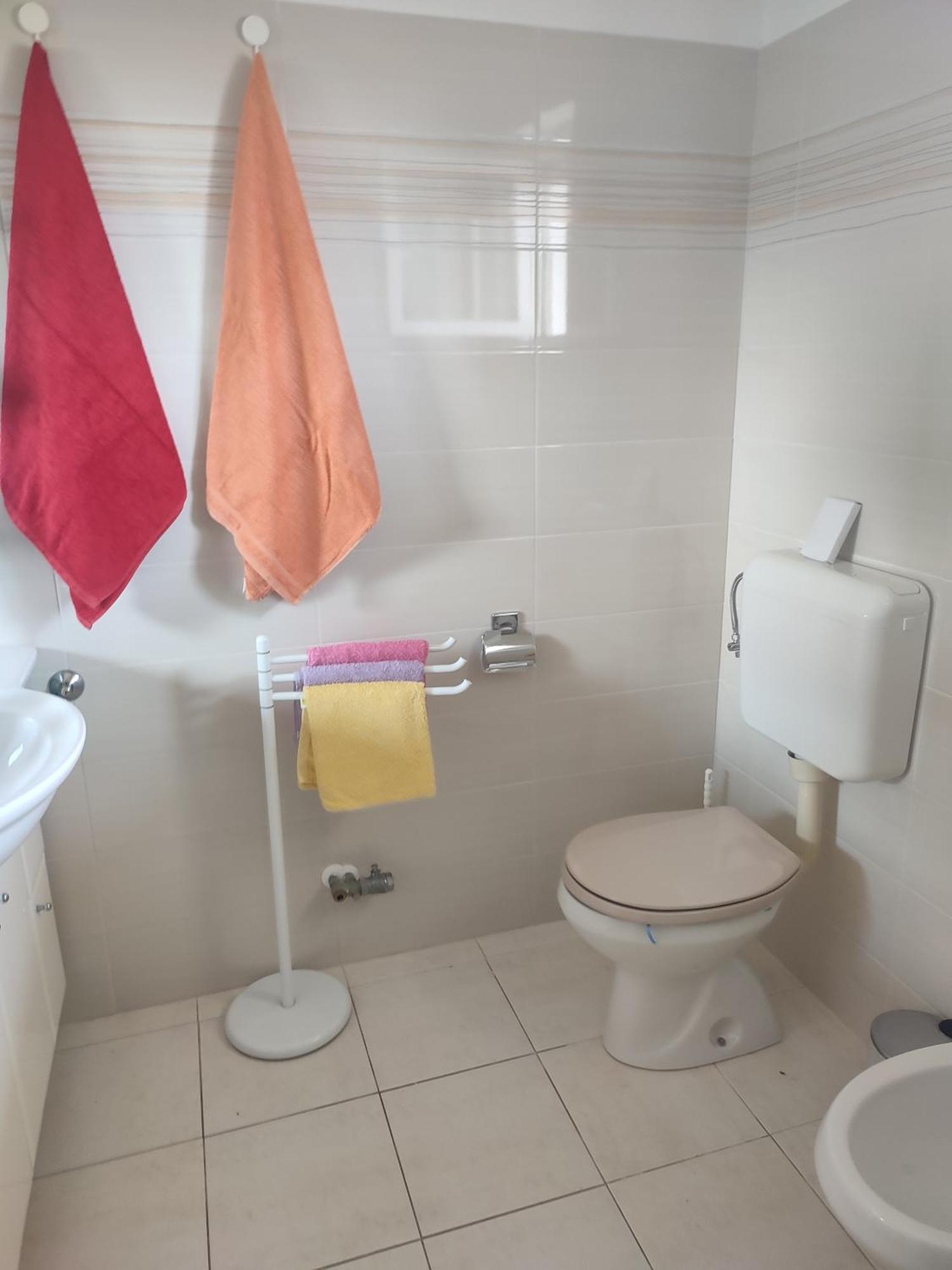 Apartmaji Jelena بيران المظهر الخارجي الصورة