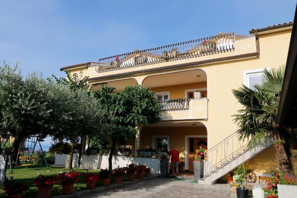 Apartmaji Jelena بيران المظهر الخارجي الصورة